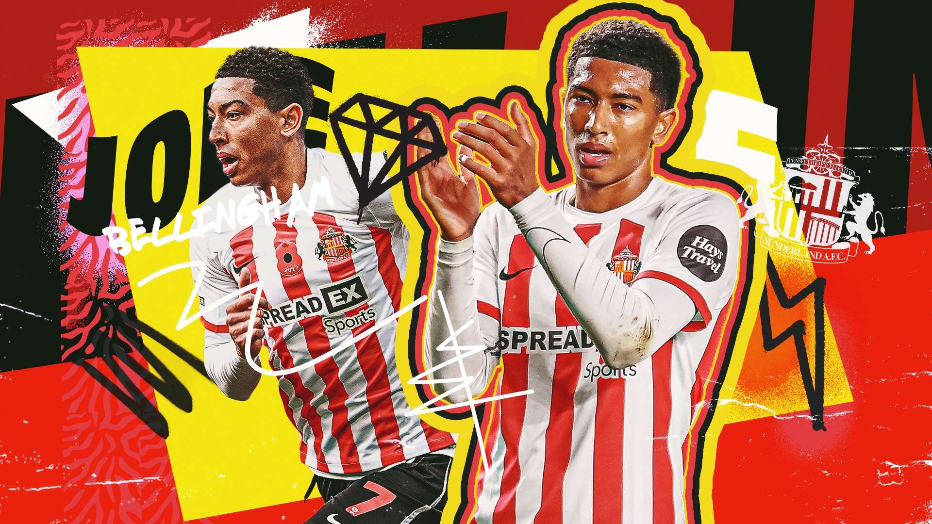 引了众多学 引了众多学