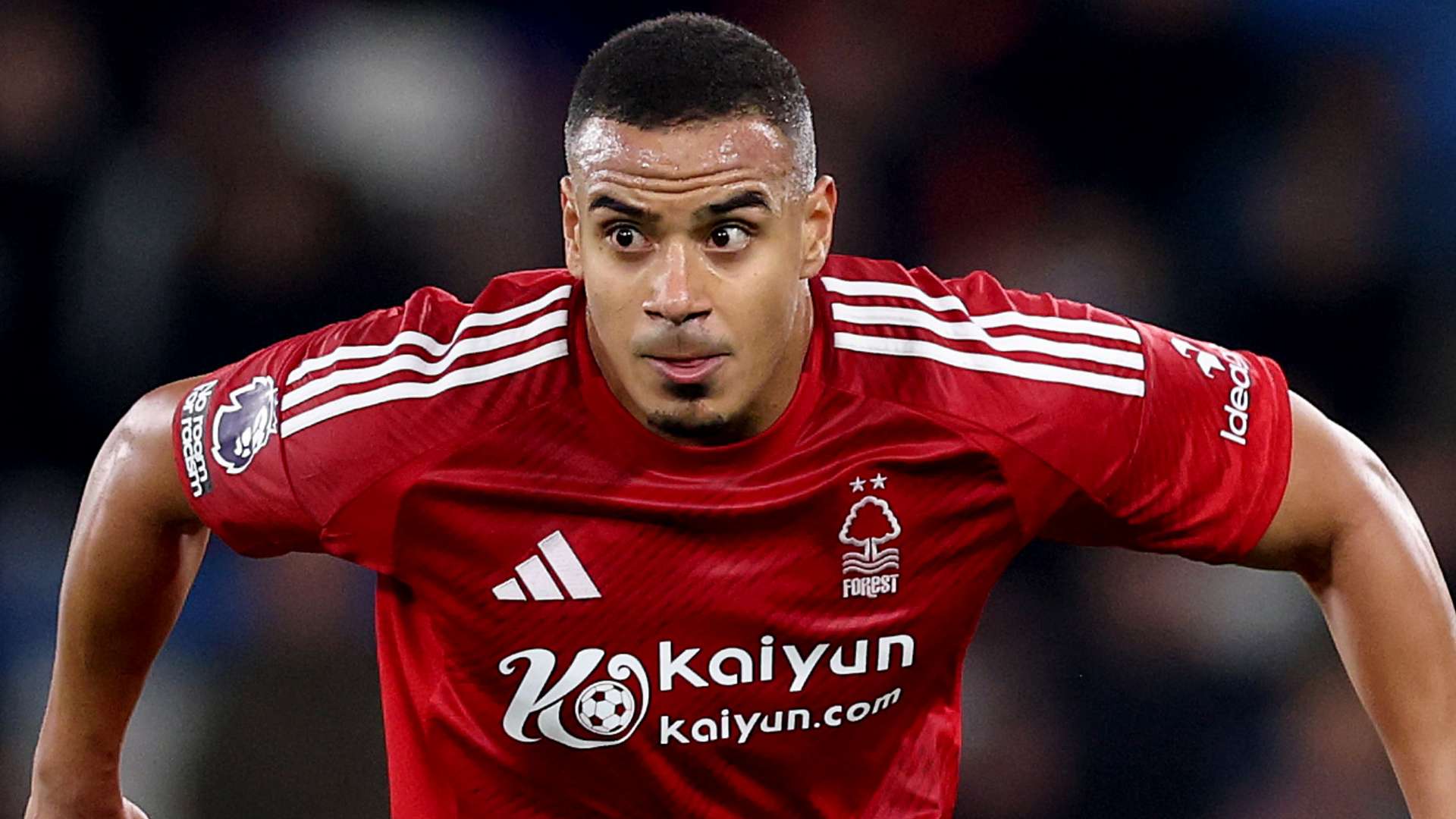 佳的状态 佳的状态